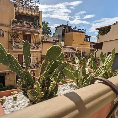 Opuntia Charming * Taormina